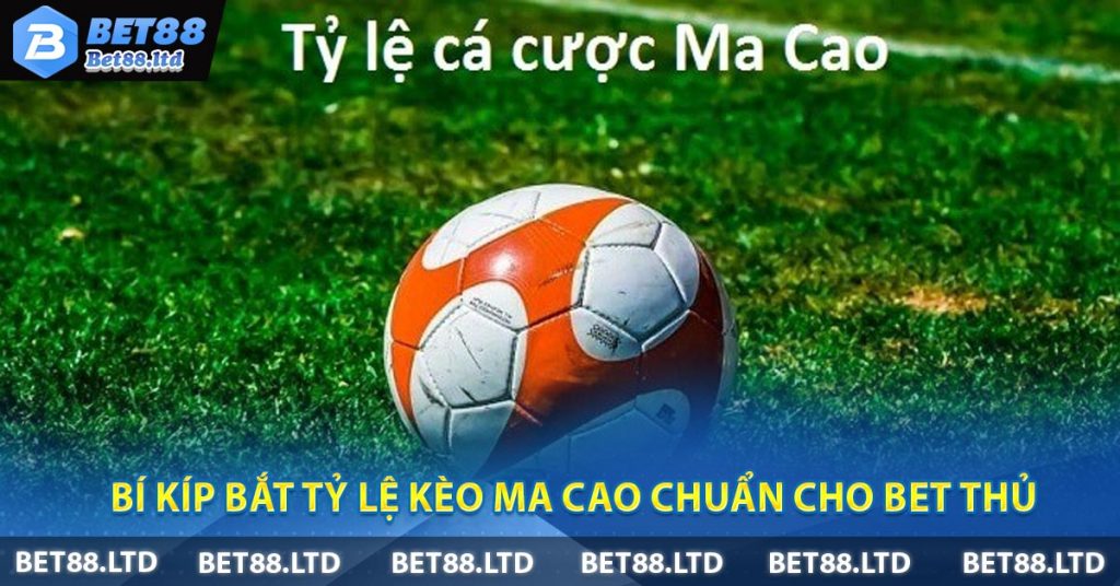 Bí Kíp Bắt Tỷ Lệ Kèo Ma Cao Chuẩn Cho Bet Thủ